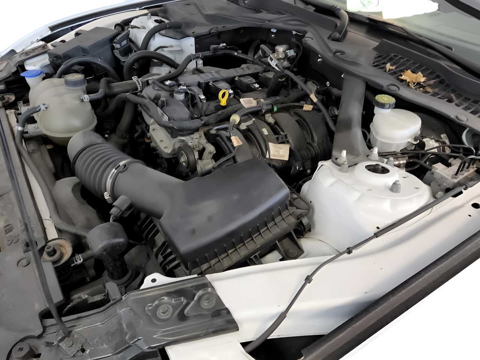 2021 Ford Mustang EcoBoost