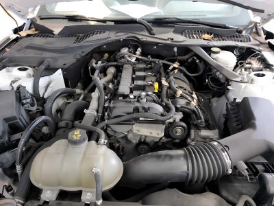 2021 Ford Mustang EcoBoost