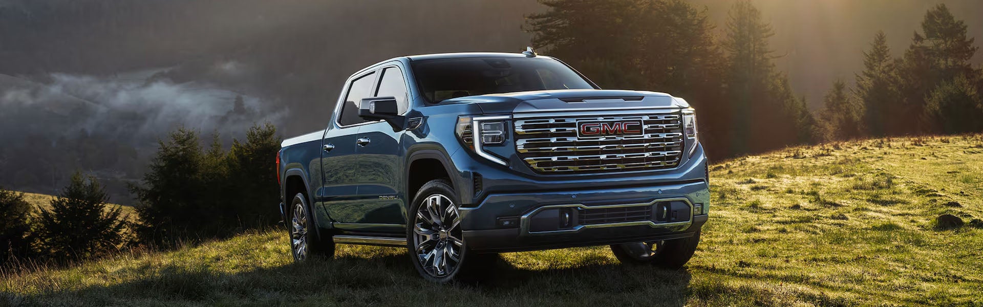 A blue GMC Sierra 1500 parked in the grass.